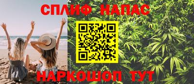 скорость Гатчина