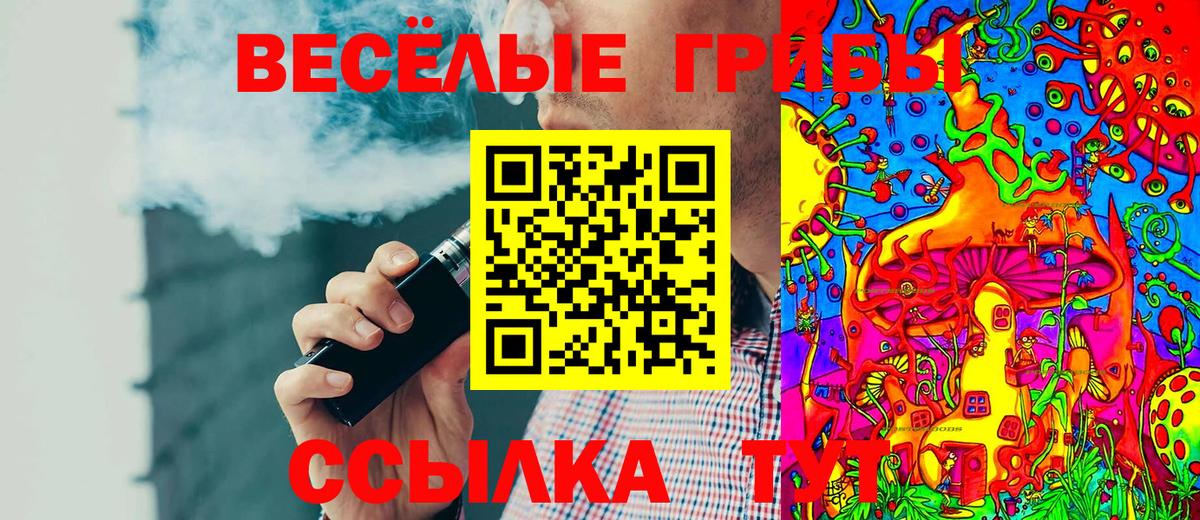 Псилоцибиновые грибы Psilocybe  Вход с VPN  Тимашёвск 