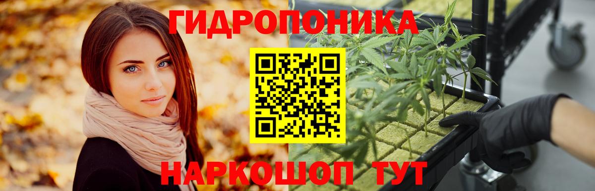 Каннабис OG Kush Тимашёвск